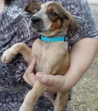 Zeus