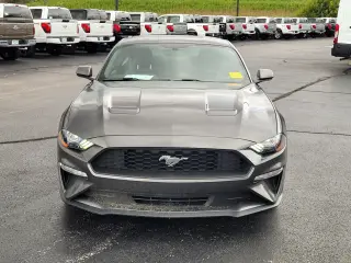 Ford Mustang 2020 EcoBoost 2dr Fastback