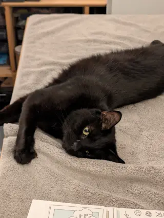 ZIGGY