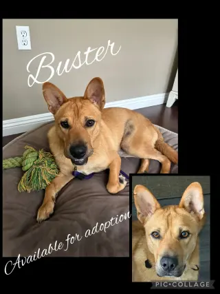Buster
