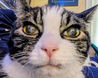 Charlie