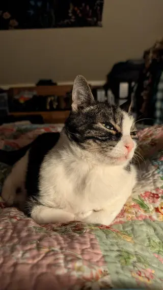 Charlie