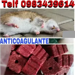 FUMIGACIONES CONTRA VIRUS