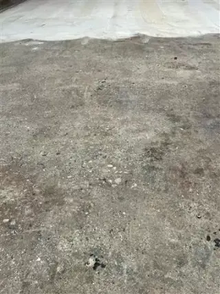 Pisos polis
