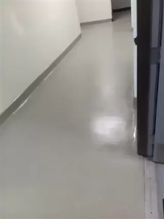 Pisos polis
