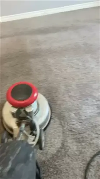LAVADO DE ALFOMBRAS A VAPOR!!!