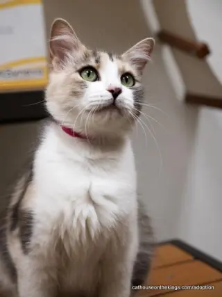 Delilah