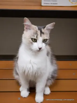 Delilah