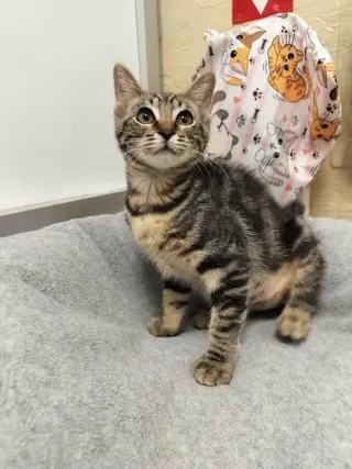 Carla