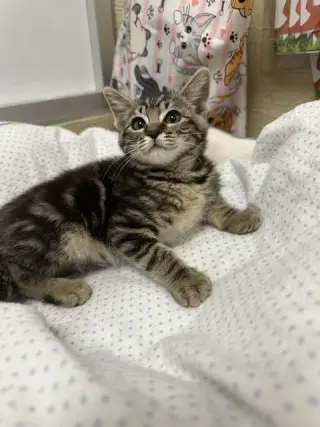 Carla