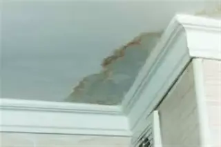 Remodelar, pintar y solucionar