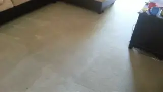 LIMPIEZA PROFUNDA ALFOMBRA $50