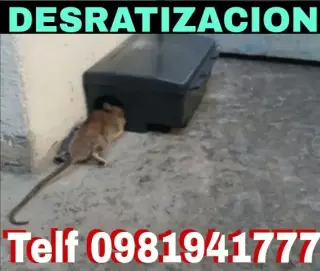 FUMIGACIONES En carcelén