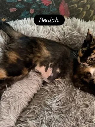 Beulah