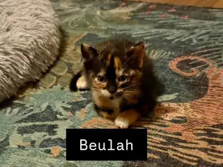 Beulah
