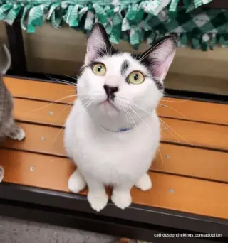 Benny
