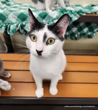 Benny