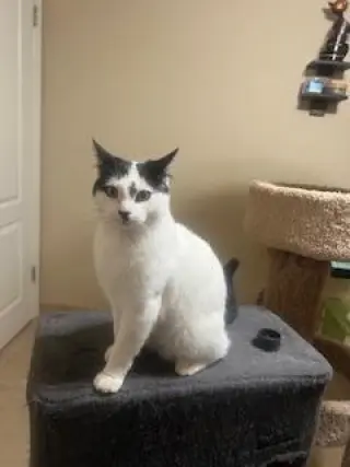 Benny