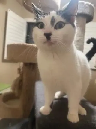 Benny