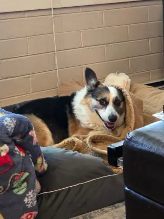 Copper