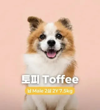 TOFFEE