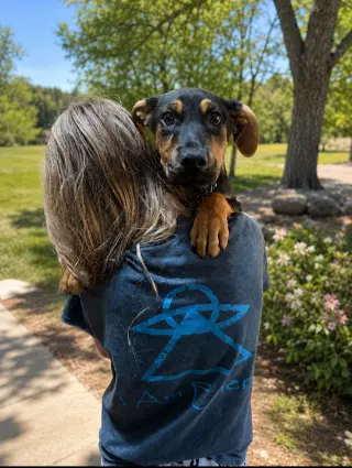 Spock Vulcan