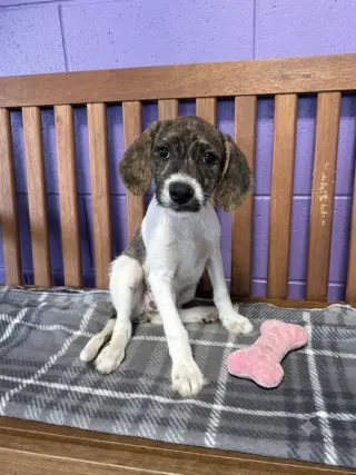 **PENNY**