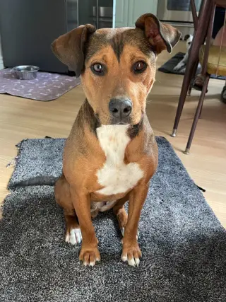 Penny