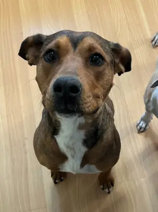 Penny