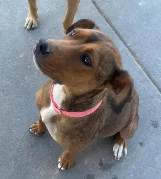 Penny