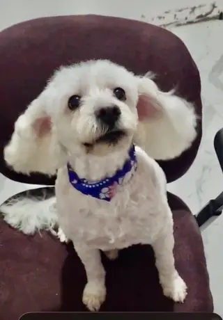 Bonnie