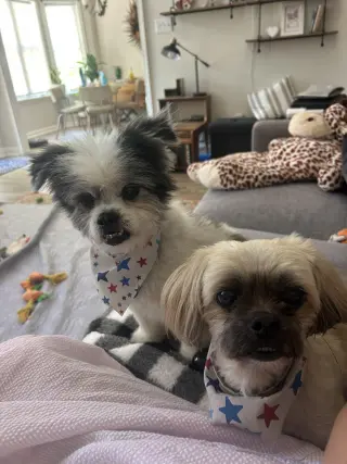 Cooper