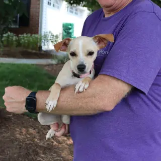 Little Millie