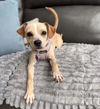 Little Millie