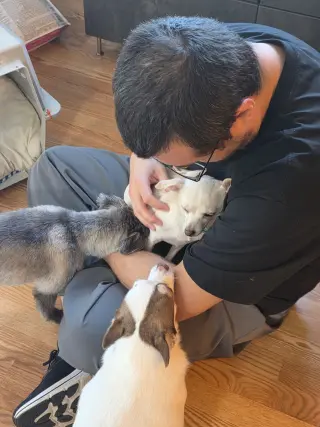 Tina - ADOPTION PENDING!