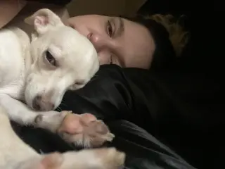 Tina - ADOPTION PENDING!