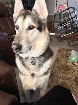 HUGO #3