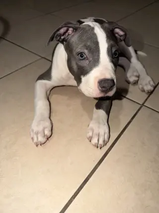 CHLOE #13