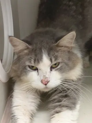 Jacob (Big Jake)