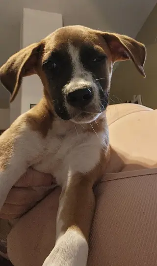 Diego