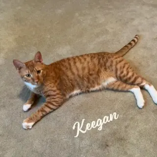 Keegan #easy-to-love
