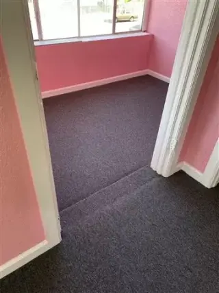 Dos Arroyos caRpet