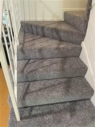 Dos Arroyos caRpet