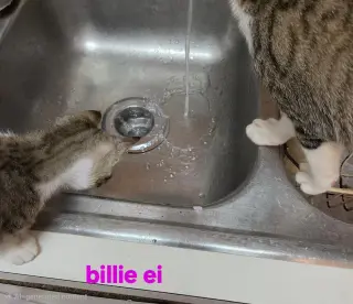 Billie Ei