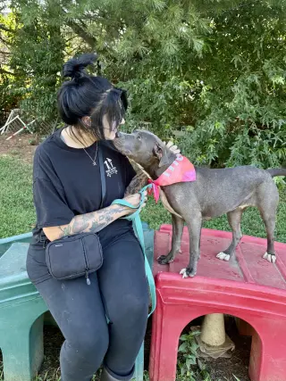 Lila