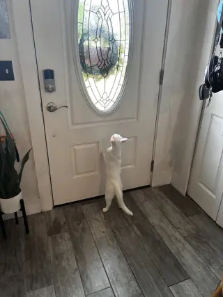 Mama Snow