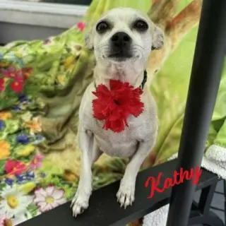 Kathy #bestie-of-Kate