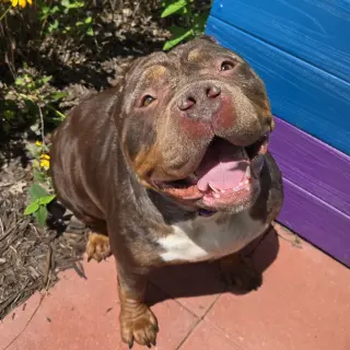 Gloria
