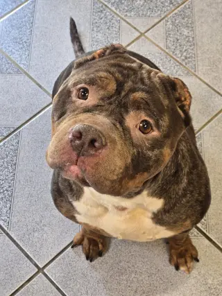 Gloria