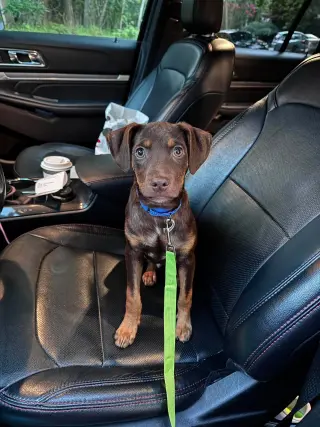 FRANKLIN